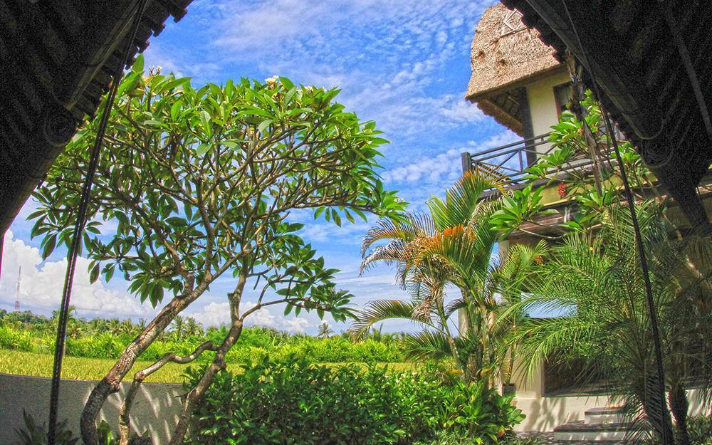 Kubu Kedungu Villas Tanah Lot Kültér fotó