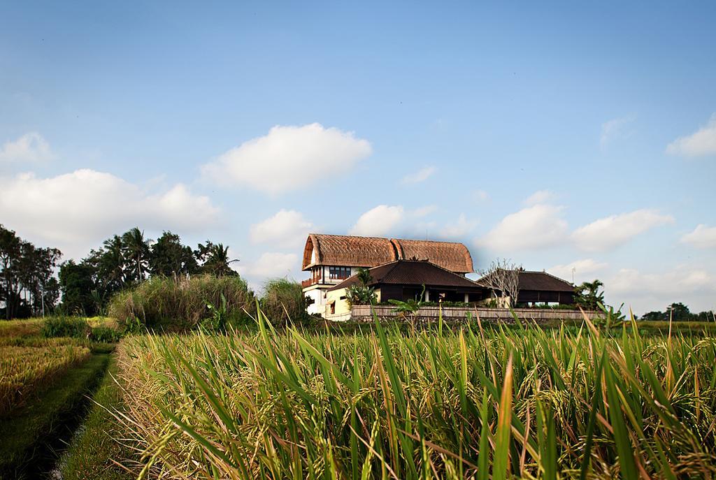 Kubu Kedungu Villas Tanah Lot Kültér fotó